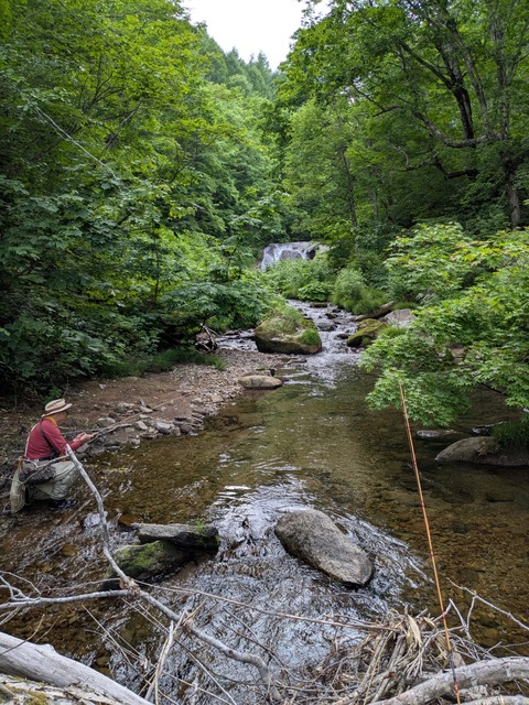 PXL_20260624_041243270