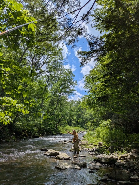 PXL_20250618_025024507