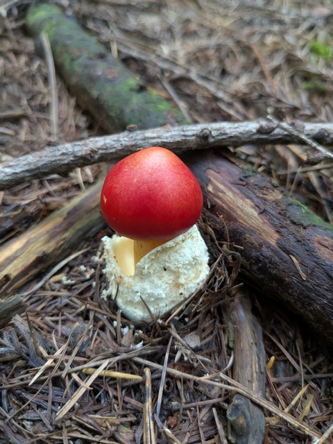 PXL_20251003_020745750