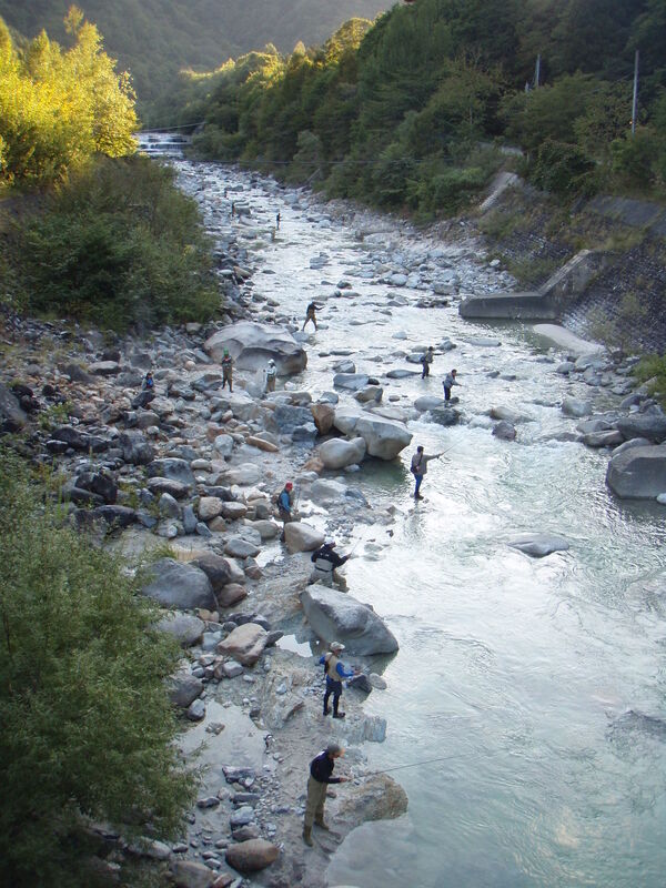 画像を等倍で表示します 画像