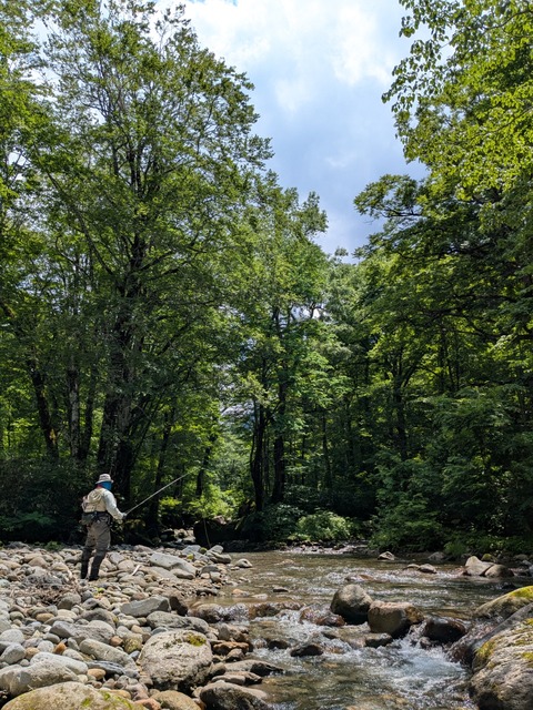 PXL_20260629_033648870