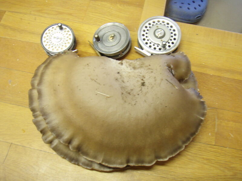 画像を等倍で表示します 画像