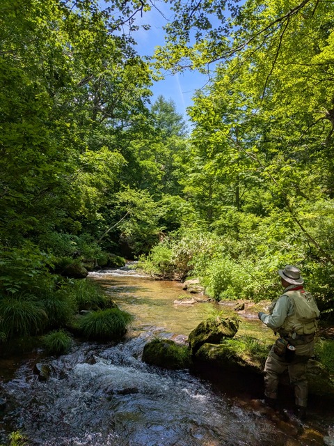 PXL_20250629_021634555