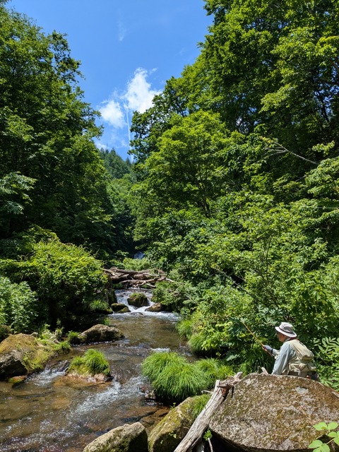 PXL_20250629_023903007