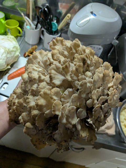 PXL_20251003_081626580