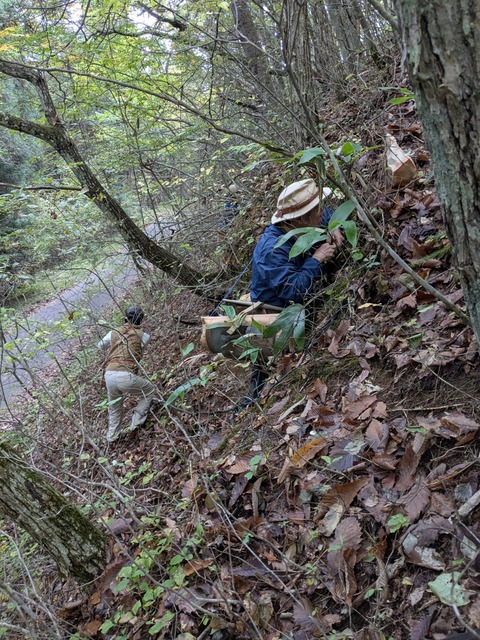 PXL_20251022_054129068