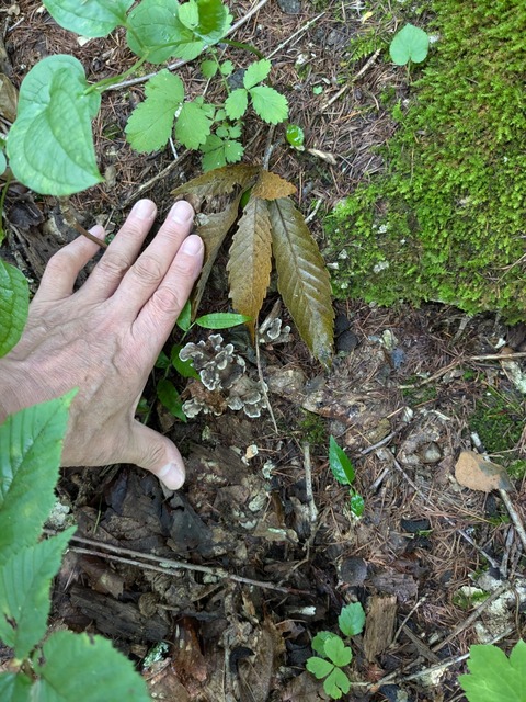 PXL_20240909_010252011