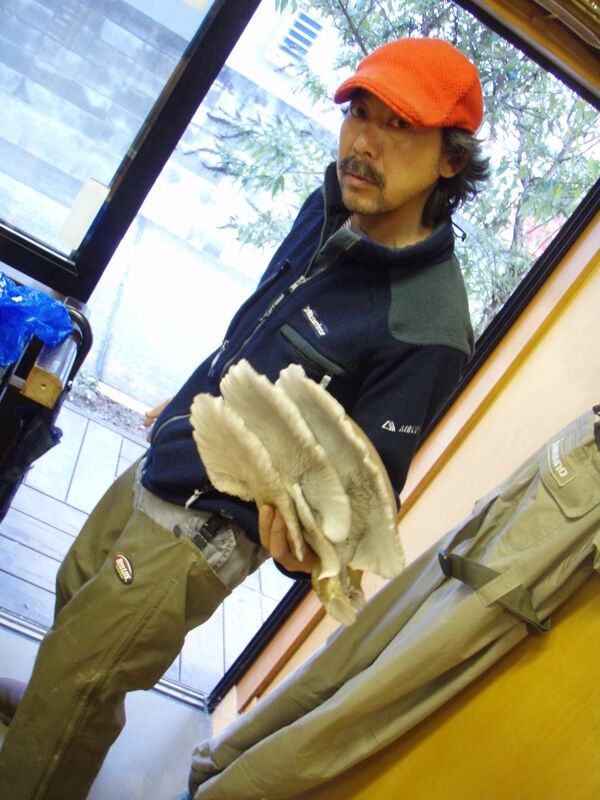 画像を等倍で表示します 画像