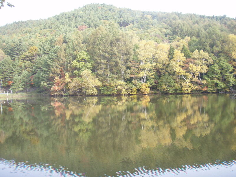 画像を等倍で表示します 画像