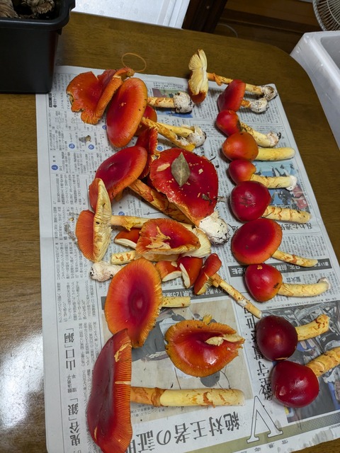 PXL_20240909_075016209