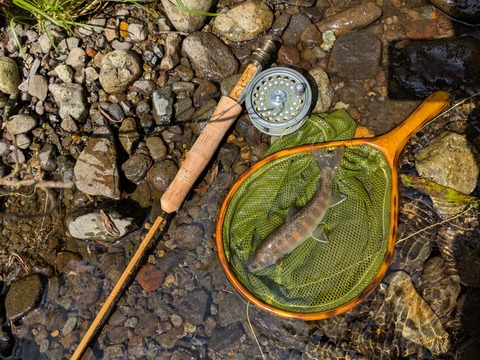 PXL_20250910_034237135