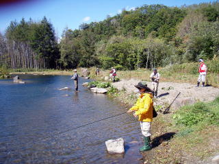画像を等倍で表示します 画像