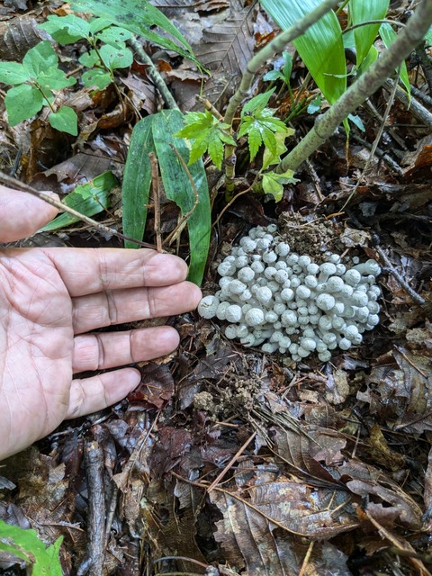 PXL_20240909_015353763