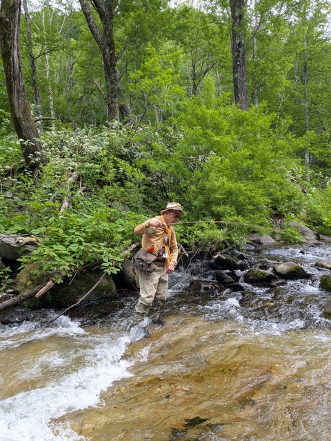 PXL_20250618_035511450