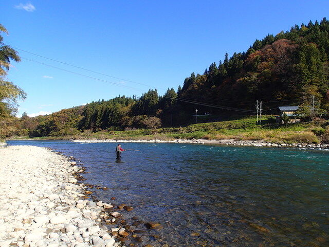 PB056339.JPG