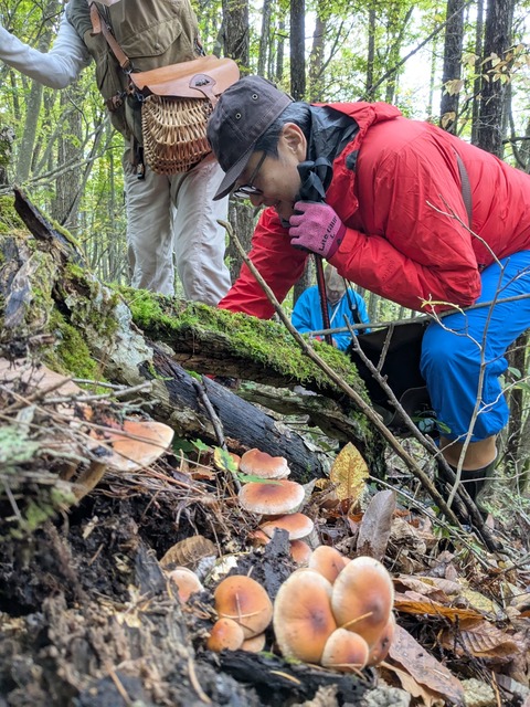 PXL_20251022_044903603