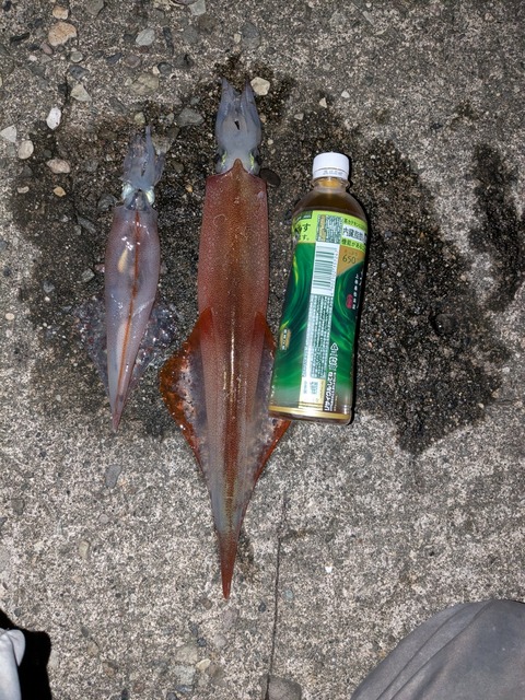 PXL_20260403_125922352