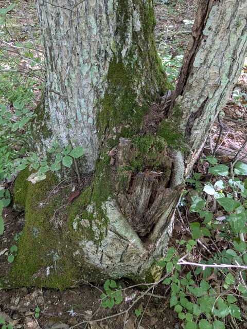 PXL_20250909_000459508