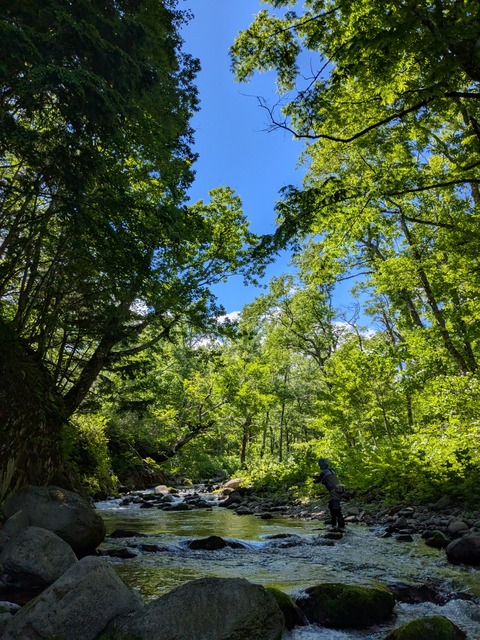 PXL_20260618_003946542