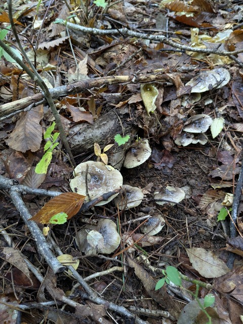 PXL_20251020_020944285