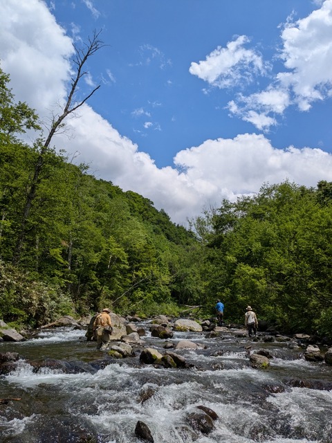 PXL_20250618_040705620