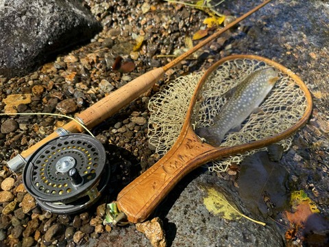 Messenger_creation_198A8FF3-F2C6-4DD5-82EC-DB4780C00F82