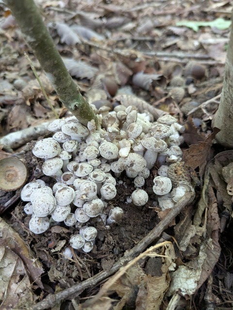 PXL_20250925_013808907