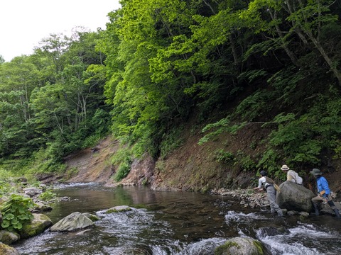 PXL_20250618_034234825