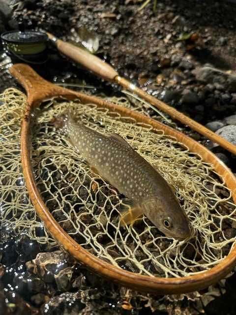 Messenger_creation_B24696DB-CDA5-487A-9247-8EA373FBB650