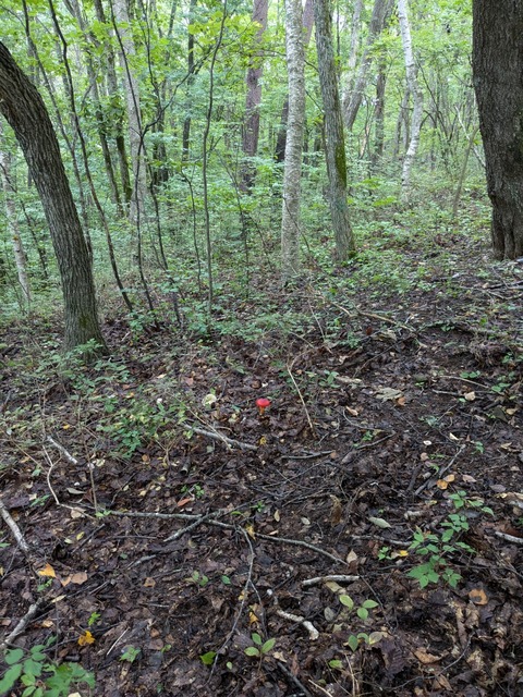 PXL_20240909_011643836