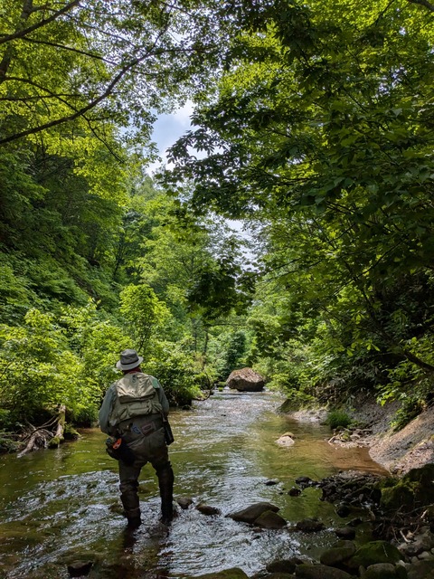 PXL_20250629_035512990