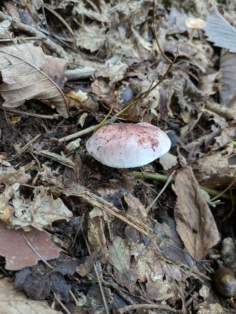 PXL_20251003_004058449