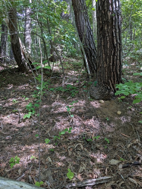 PXL_20250909_002452655