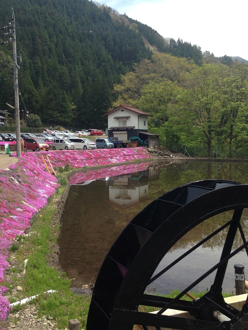 國田家の芝桜 岐阜県郡上市明宝 は 超やさしい 観光名所です 料金無料で無限の感動を与えてくれますよ 私のなんでも日記 國田家の芝桜 岐阜県郡上市明宝 は 超やさしい 観光名所です 料金無料で無限の感動を与えてくれますよ 私のなんでも日記