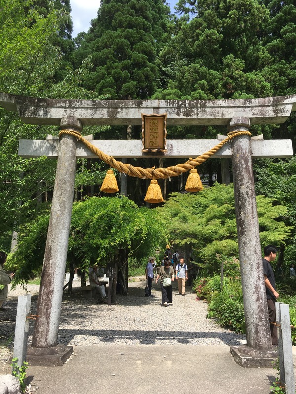 根道神社の鳥居