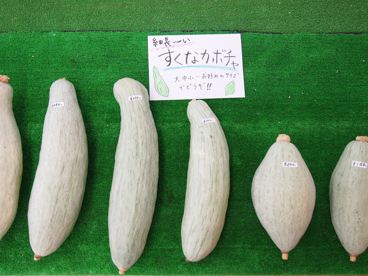かぼちゃと農業ビジネス雑誌 トマト メロンの横山農園 かぼちゃと農業ビジネス雑誌 トマト メロンの横山農園