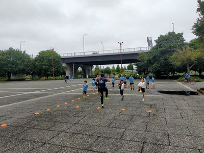 IMG20241006095904