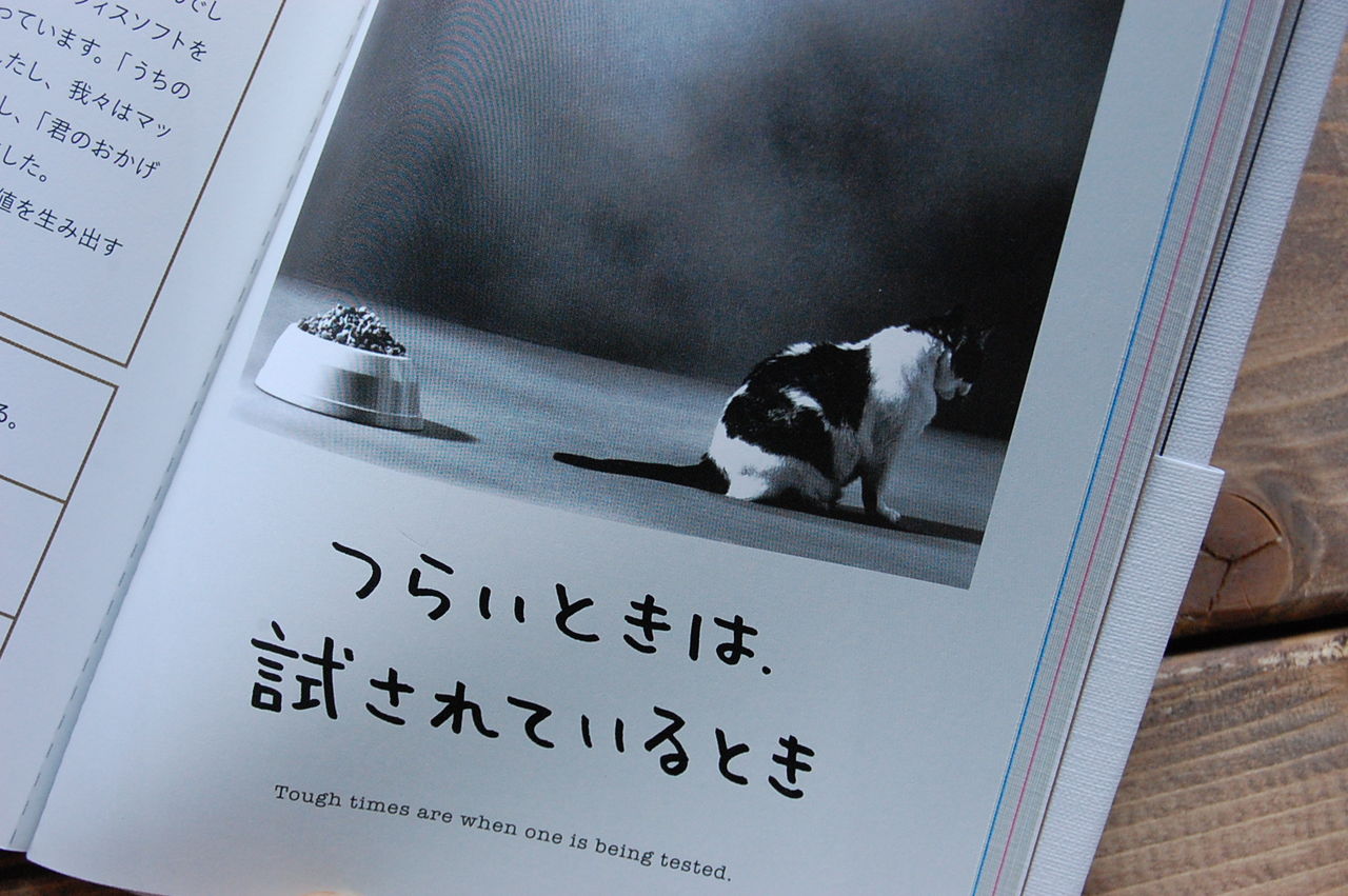 ネコに励まされる自分 というシュチュエーションを 客観的に俯瞰してもおもしろい かわいいネコの写真と名言の 人生はニャンとかなる 本を読まない人のための本屋 Wonderfulworld ネコに励まされる自分 というシュチュエーションを 客観的に俯瞰してもおもしろい かわいいネコの写真と名言の 人生はニャンとかなる 本を読まない人のための本屋 Wonderfulworld
