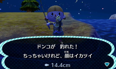 ドンコ とびだせ どうぶつの森3dsメモ