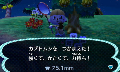カブトムシ とびだせ どうぶつの森3dsメモ