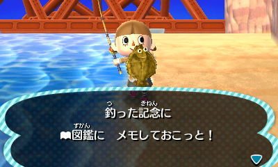ヒラメ とびだせ どうぶつの森3dsメモ ヒラメ とびだせ どうぶつの森3dsメモ