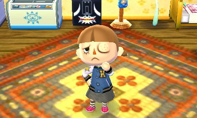 とびだせ どうぶつの森3dsメモ