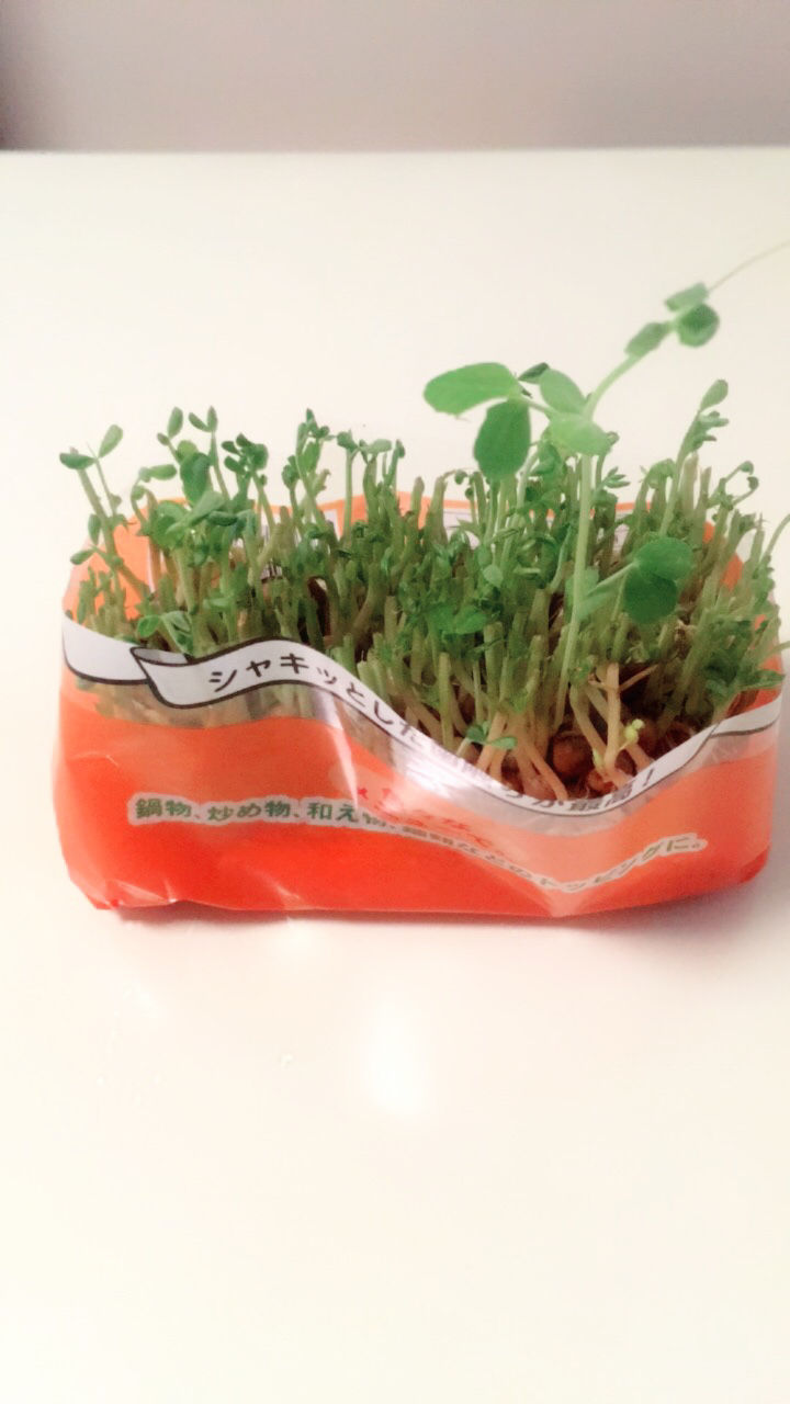 コナリミサト先生の 凪のお暇 の節約料理がおいしそう Maki Yome