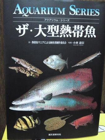 魚本☆ : 嫁なまはげ日記
