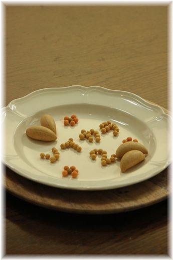 ソイカライフ教えて下さい！ 第2弾始まりました♪ と 子供とソイカラの風景。