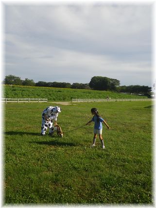 $よめ膳＠YOMEカフェ