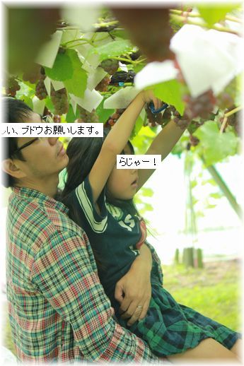 よめ膳＠YOMEカフェ