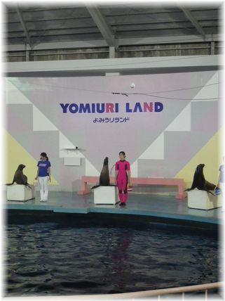 $よめ膳＠YOMEカフェ