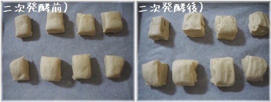P1010011