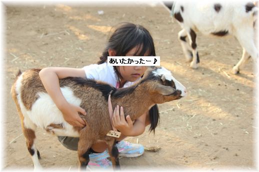 $よめ膳＠YOMEカフェ